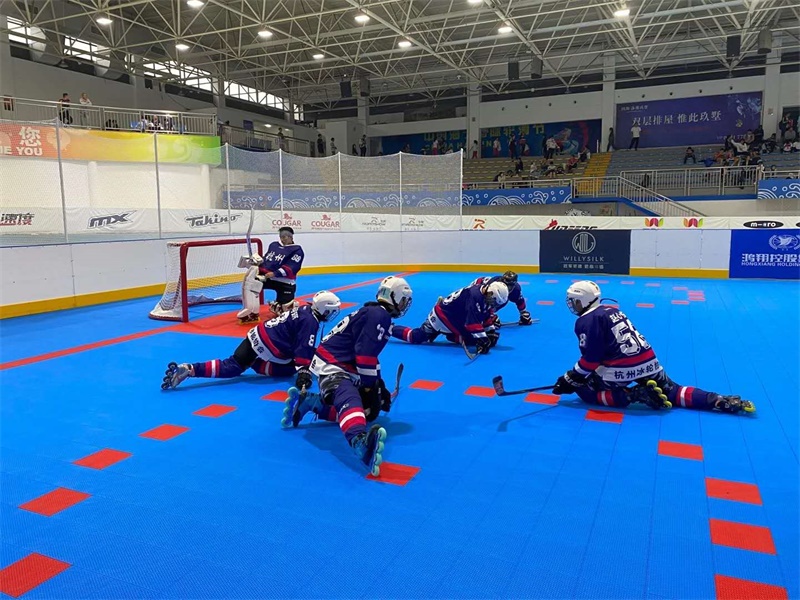 轮滑冰球围栏案例
