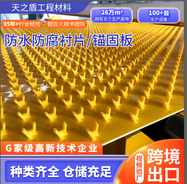 聚乙烯多点锚固板 水利隧道混凝土加固内衬板